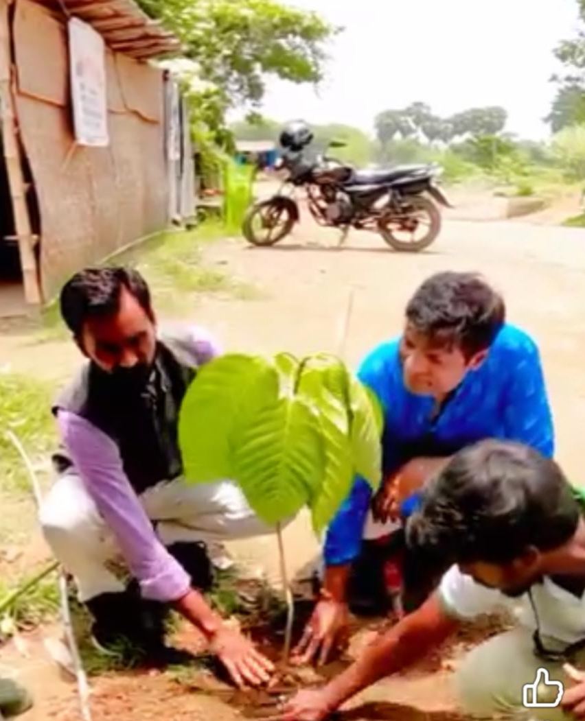 BJJM tree plantation drive volunteers in West Bengal – photo 3